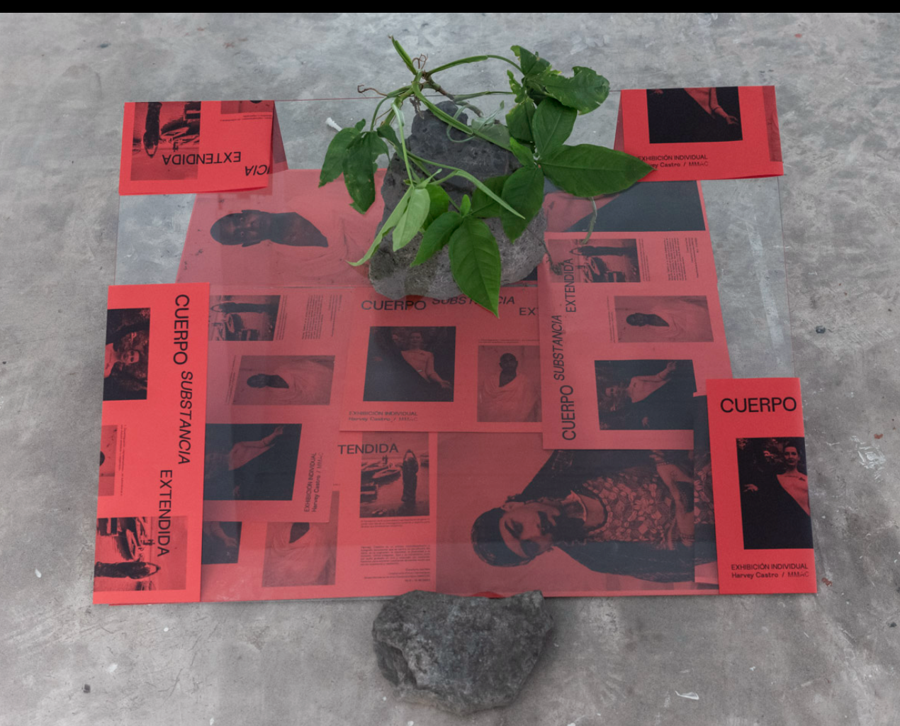 Reading station · catalog, glass, volcanic stone, vine